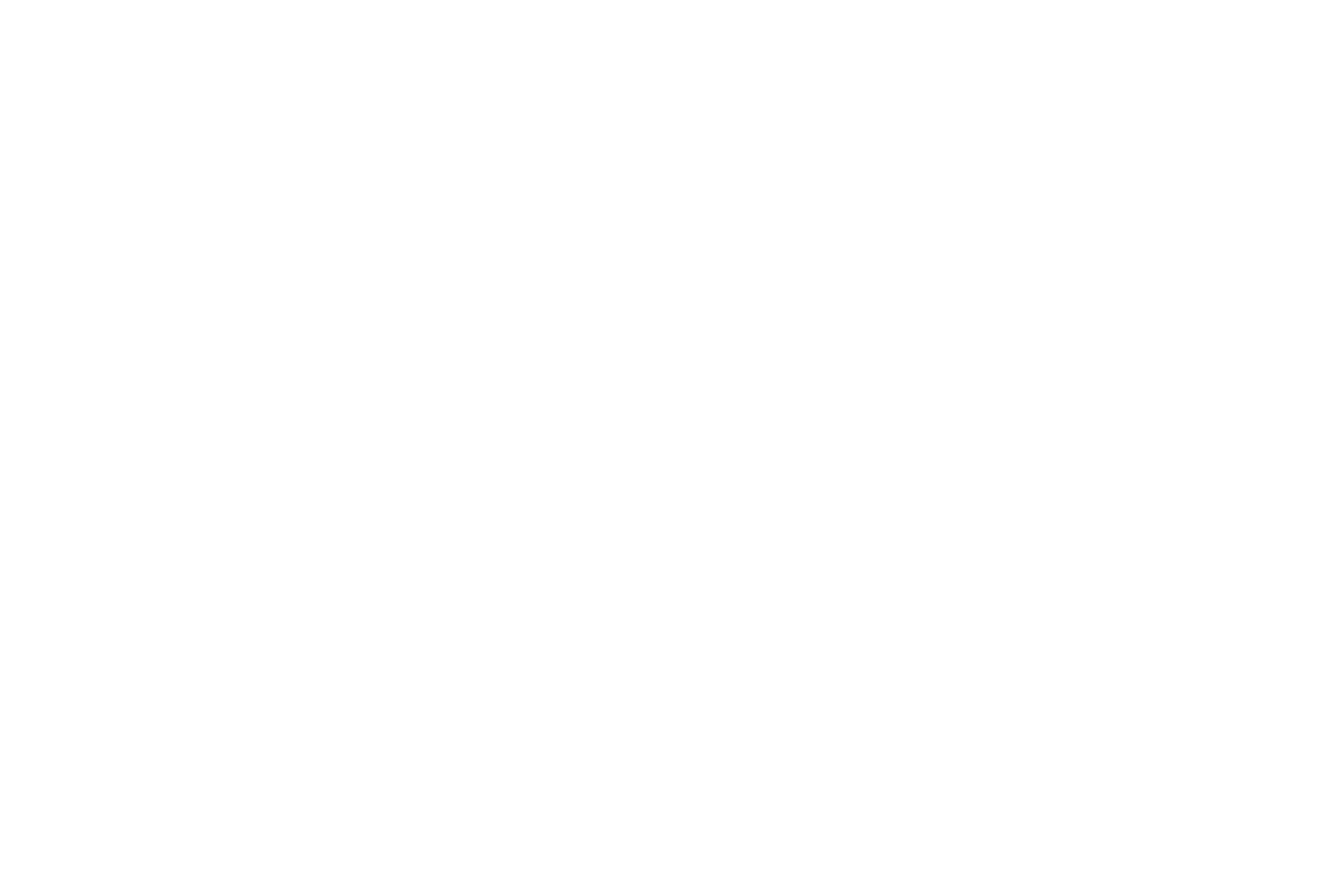 Swissalp Facility GmbH